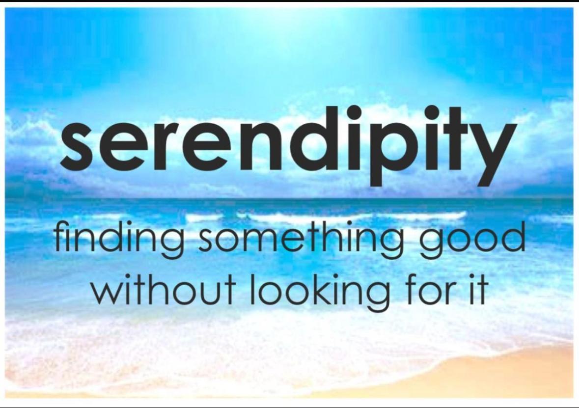 Affittacamere Serendipity La Spezia